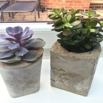 Concrete Planters: The must have item for your plant babies this Spring/Summer 2019